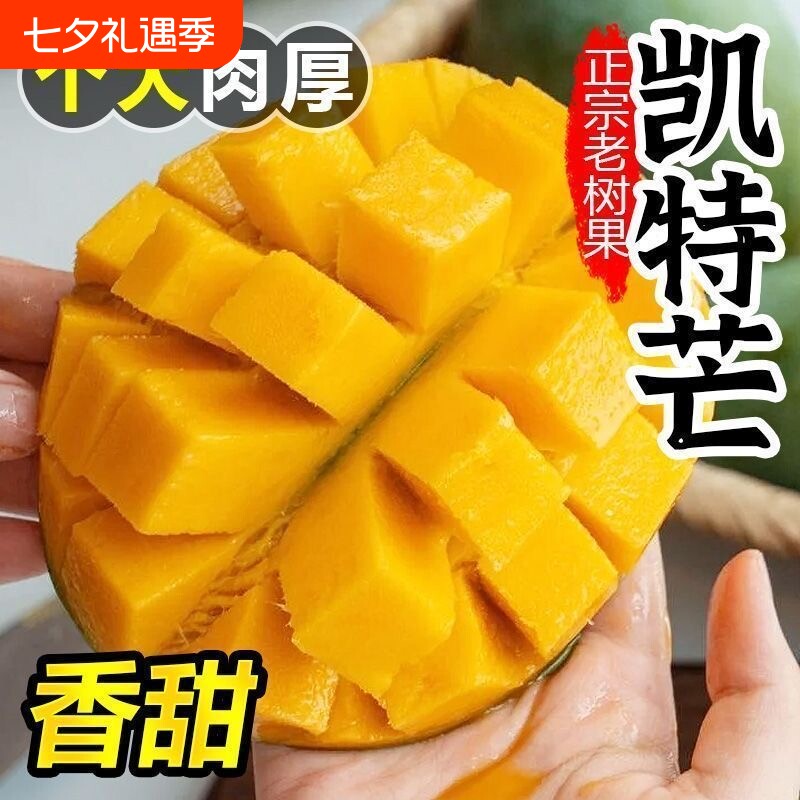 正宗凯特芒芒果新鲜当季水果大芒果攀枝花澳芒青整箱包邮催熟食用