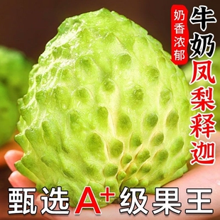 批发高端云南凤梨释迦大果佛头果番荔枝当季 新鲜整箱孕妇水果优选