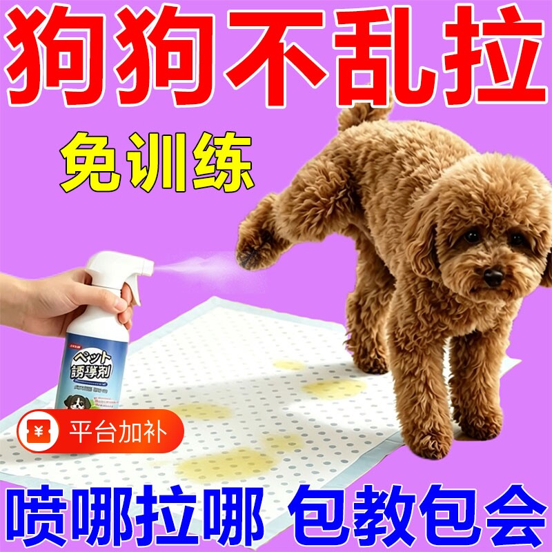 狗狗定点上厕所排便神器训练狗狗大小便防止狗狗乱拉屎拉尿诱导剂