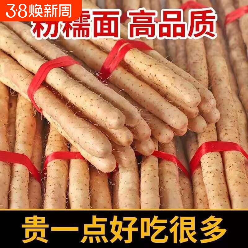 正宗小白嘴山药软糯甘甜新鲜蔬菜铁杆怀山药淮山药非温县垆土铁棍