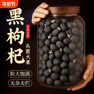 【全网爆款】野生黑枸杞干官方旗舰正品青海特优级大果子宁夏100g