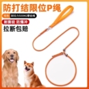 专业训犬防爆冲p绳小中大型犬金毛p链遛狗绳绳狗狗牵引绳防咬训练