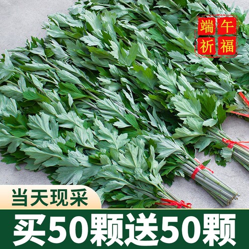 新鲜艾草整棵带杆挂门上家用非驱蚊干艾蒿鲜艾端午节艾叶花束门挂