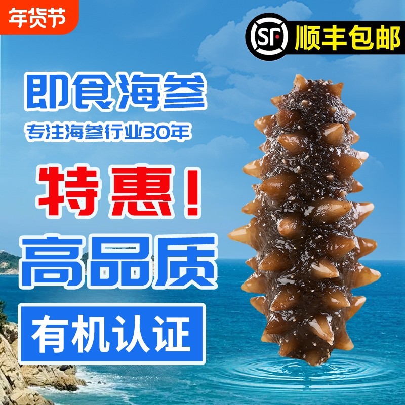大连海参即食冷冻锁鲜辽参一斤装有机国标正品年货团购淡干源头