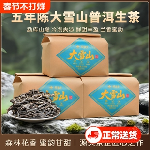 大雪山普洱茶生茶散茶头春新茶正宗云南古树老生普口粮茶叶自己喝