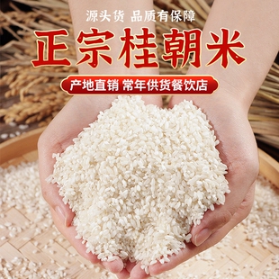 桂朝米凉糕肠河粉汉中米皮专用大米豆腐早贵州贵潮米批发商用