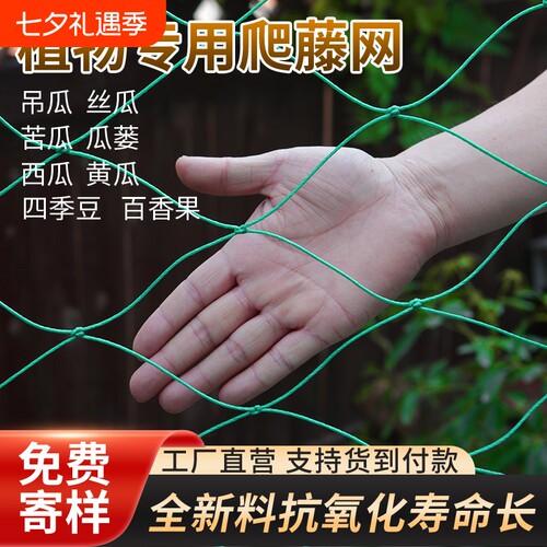 爬藤网蔬菜种植网格攀爬网