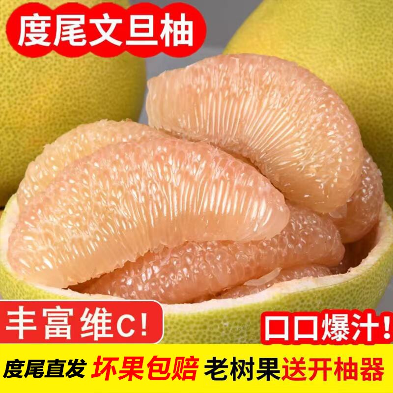 福建莆田仙游度尾文旦柚新鲜水果红白心柚子三十年老树果子精品果