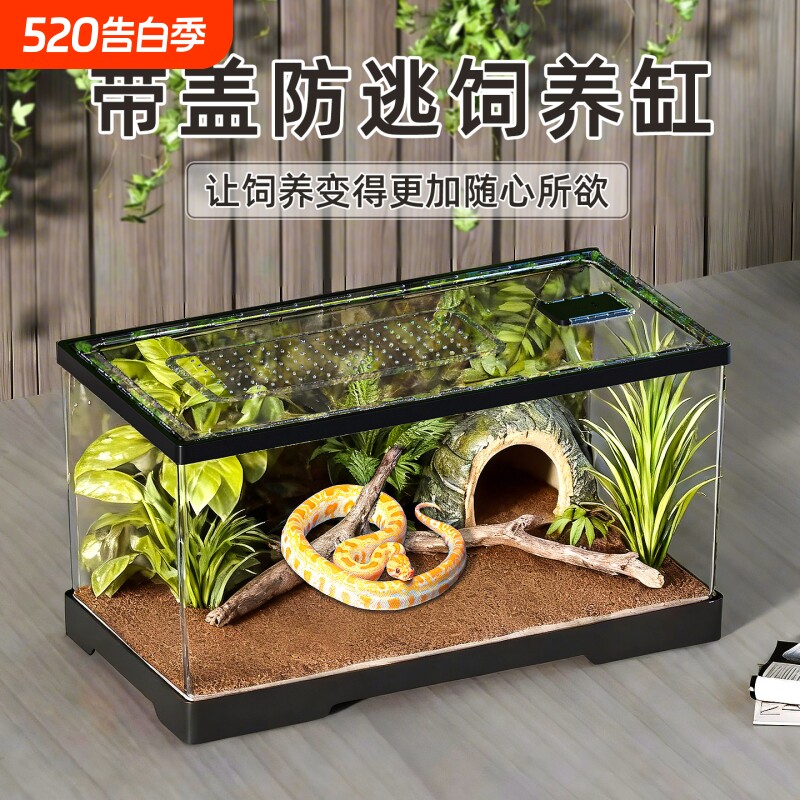 爬宠饲养缸宠物蛇守宫蜥蜴角蛙乌龟爬虫缸蜘蛛树蛙蚕饲养盒恒温