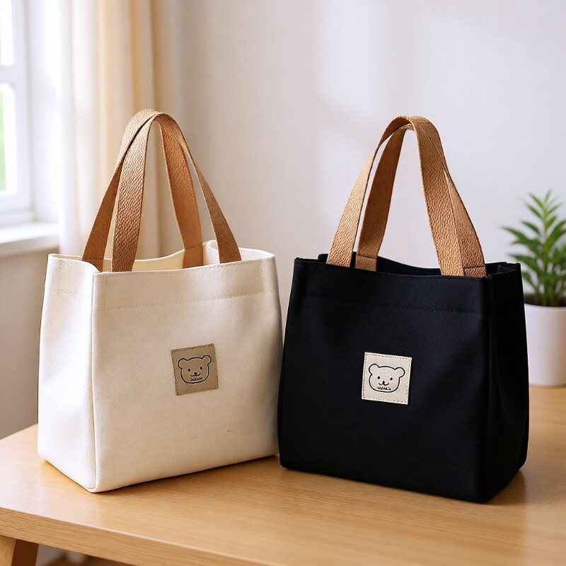 上班饭盒手提袋2024新款包包女士手拎包便当包帆布包提包大容量