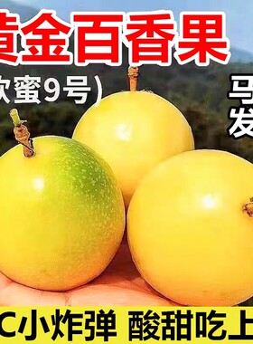 【顺丰京东】黄金百香果纯甜钦蜜9号大果新鲜水果礼盒海南鸡蛋果