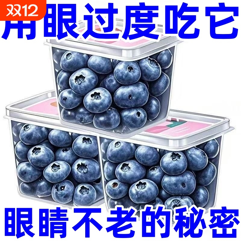 特级蓝莓干梅类制品果干非特级野生蓝莓果干东北特产蓝梅原味烘焙