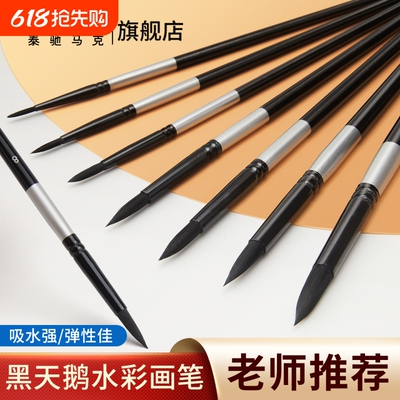 黑天鹅水彩笔水粉笔学生美术专用