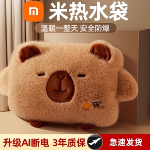 热水袋暖水袋暖手宝充电式暖宝宝毛绒女防爆热宝2025新款正品电热