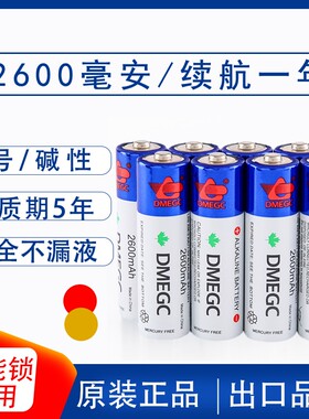 DMEGC原装电池5号AA-当天发货