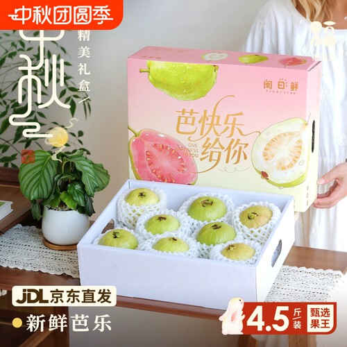 红心芭乐礼盒新鲜水果番石榴脆甜软糯胭脂红巴乐中秋送礼广西