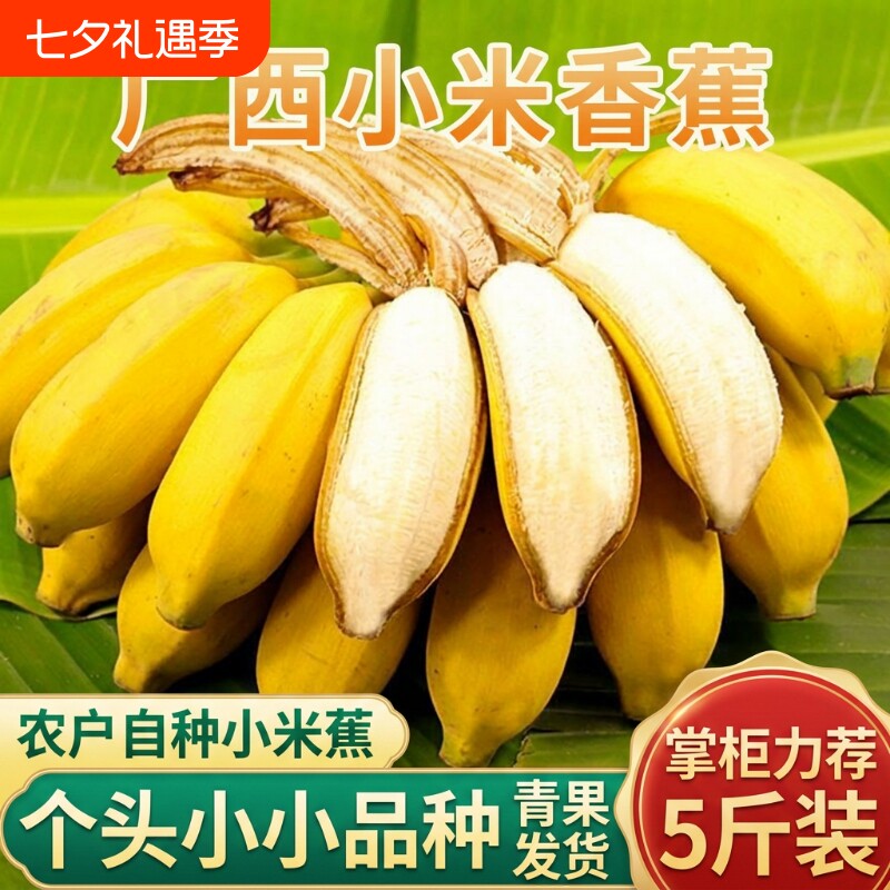 福利广西正宗小米蕉拇指蕉鸡蕉新鲜应季孕妇水果自然熟各地现摘
