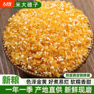 玉米碴大碴子250g500g农家笨碴子碎苞米糁棒子糁细包谷米玉米粒粥