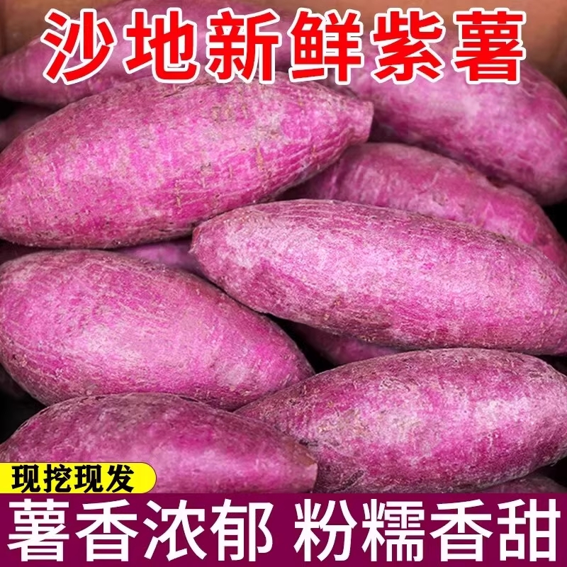 紫薯新鲜番薯农家自种地瓜沙地板栗10斤粗粮蜜薯山芋蔬菜紫心香甜