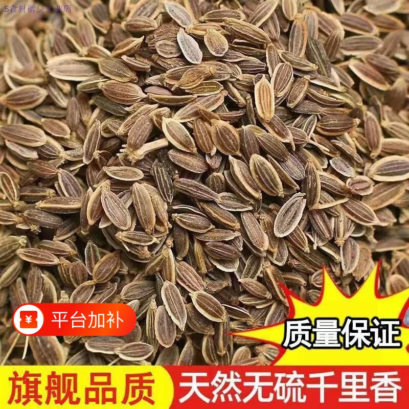 千里香 500g九里香百里香莳萝籽火锅卤菜香料 天然增香调味料调料