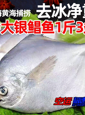 鲳鱼新鲜冷冻大银4斤白鲳鲜活海鲜水产深海平鱼扁鱼银昌鱼