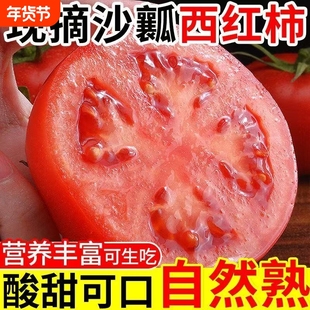 西红柿正宗四川自然熟普罗旺斯5斤新鲜生吃水果山东沙瓤番茄当季