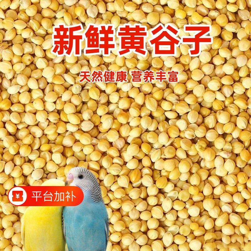鹦鹉鸟食鸟粮新黄谷子带壳小米虎皮牡丹玄凤小太阳文鸟芦丁鸡饲料