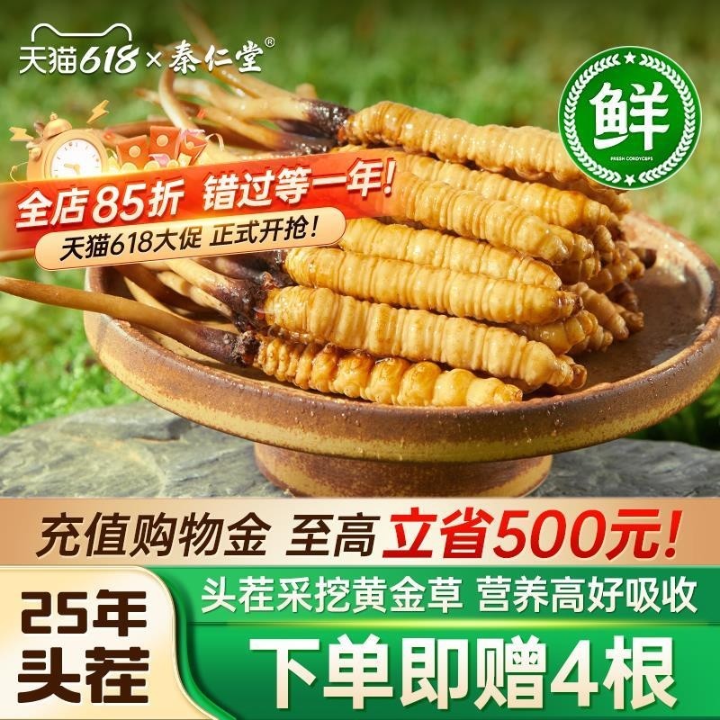 4根25年新鲜冬虫夏草正品30根起滋补品鲜虫草官方旗舰店泡酒好评