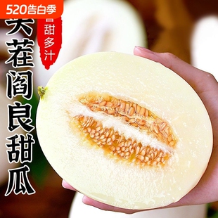 正宗现摘陕西阎良甜瓜4.5斤