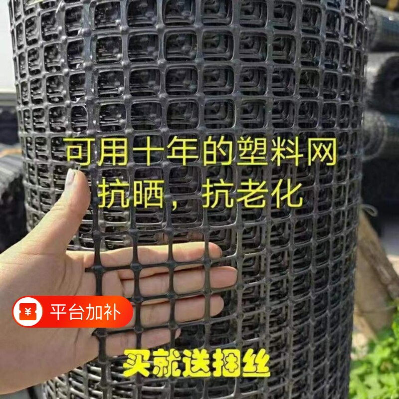 塑料围栏网围网养殖防护拦鸡鸭胶网家用菜园护栏栅栏户外养鸡菜地