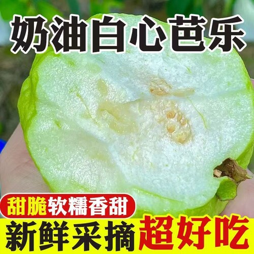 新鲜芭乐水果包邮白心硬番石榴软心当季整箱5斤应季时令鲜果生鲜
