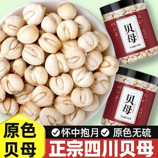 川贝母中药材官方旗舰店500g无硫新货止四川特级野生贝母咳煲汤