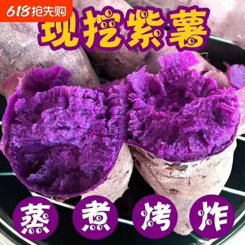 2026年新鲜现挖紫薯辅食紫罗兰红薯沙地番薯地瓜山芋纯天然蔬菜