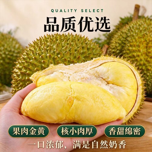 A级进口金枕榴莲当季树熟果园直采香甜软糯新鲜水果一整个