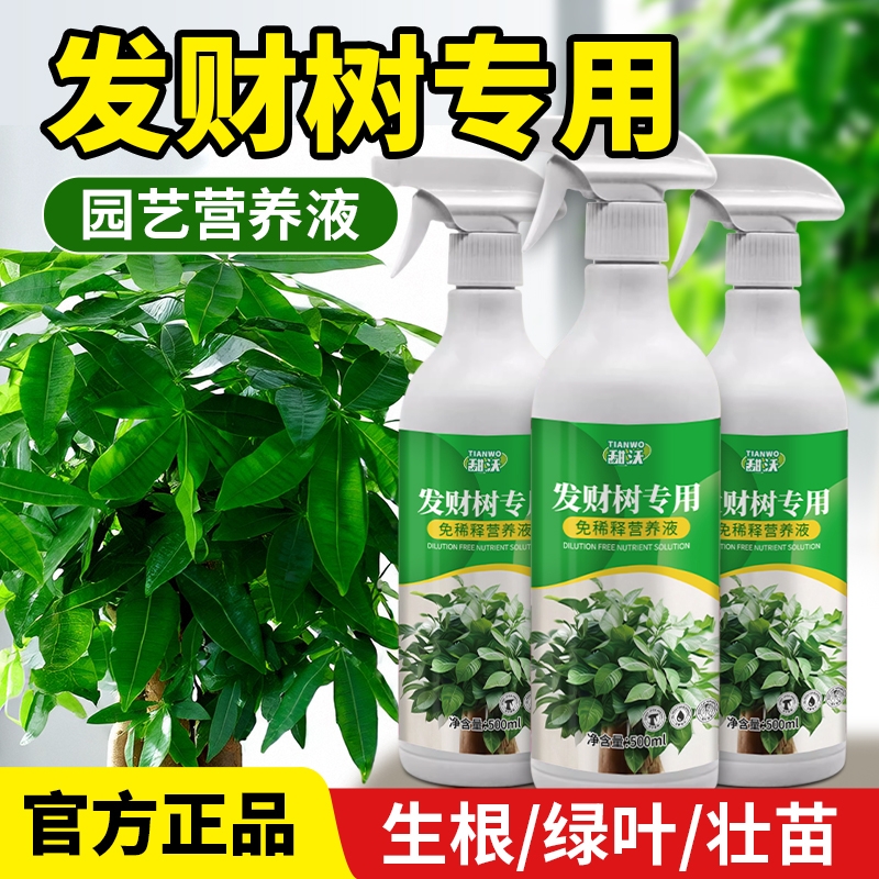 发财树营养液肥料专用肥