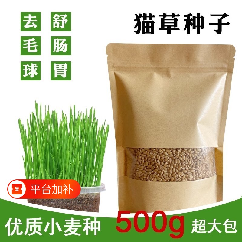 猫草种子水培猫咪吃的化毛猫麦草籽麦芽食用新鲜种植麦种超大洁牙