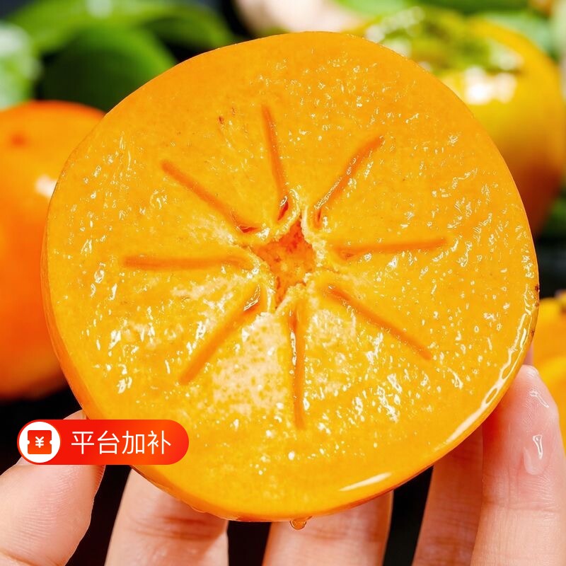 【脆甜可口】正宗阳丰脆柿巧克力脆柿子脆甜新鲜水果无核甜柿柿子