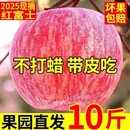 10整箱斤 包邮 现摘陕西红富士苹果水果新鲜当季 冰糖心丑苹果脆甜