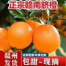 正宗赣南脐橙手剥橙子新鲜9斤水果当季 赣州现摘产地脐橙阳光皮薄