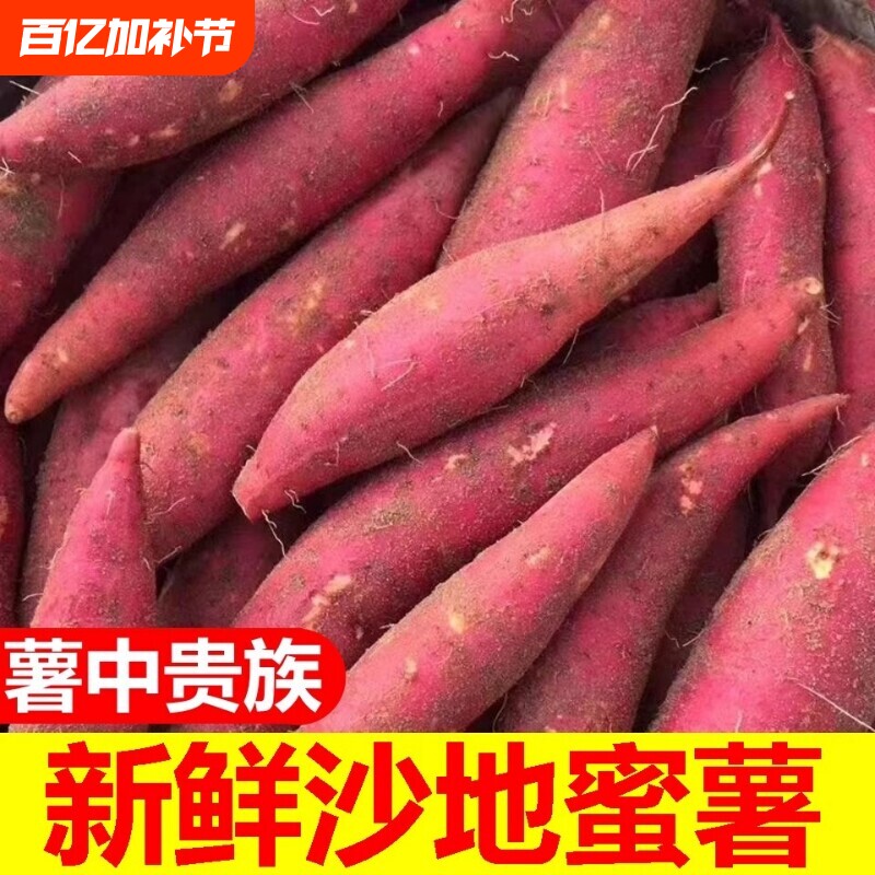 蜜薯种子红薯种地瓜番薯育苗种烟西瓜红红心地瓜新鲜沙地