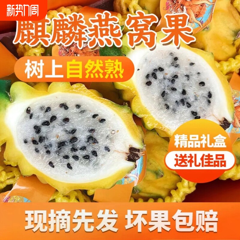 正宗麒麟果燕窝果新鲜热带水果黄皮火龙果稀有水果高档整箱批发