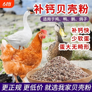 高钙贝壳粉饲料鸡鸭鹅鸟鸽子鹌鹑促钙吸收预混料添加剂养殖家禽