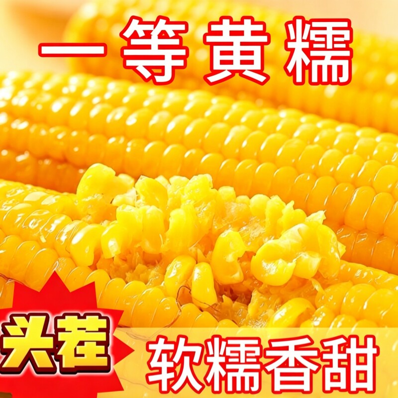 黄糯玉米即食甜糯玉米东北黑龙江黏玉米软糯香甜低脂真空包装10根