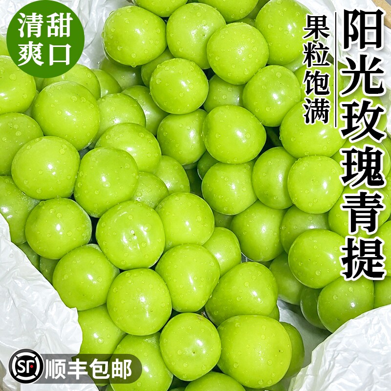正宗阳光玫瑰葡萄顺丰新鲜水果青提脆甜香印提子应当季湖北整箱 香印实拍商品图