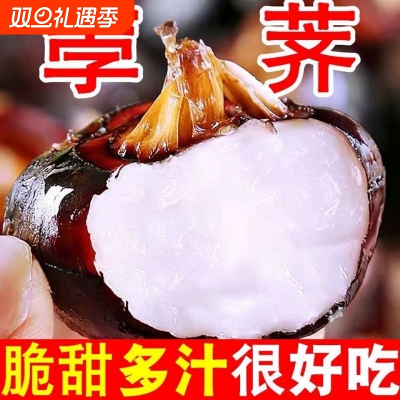 广西农家自种马蹄荸荠地梨现挖现发新鲜水果甜地栗孕妇现挖现发