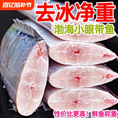 渤海带鱼渤海黄海海域捕捞