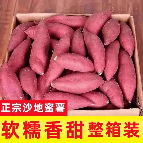 26年新鲜蜜薯沙地糖心黄心地瓜农家自种黄心番薯西瓜红现挖板栗