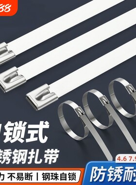 304不锈钢紮带打包带水管箍固定电杆箱抱箍金属扎带卡扣加宽松紧