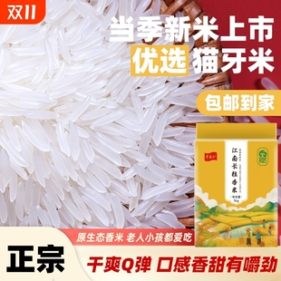 猫牙米长粒香米官方旗舰店大米2025年新米泰国香米丝苗米油粘10斤