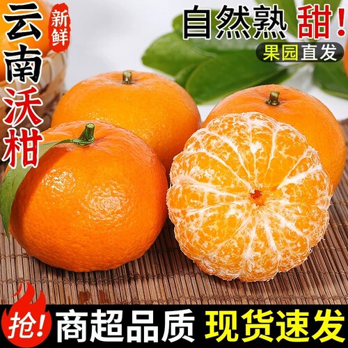 云南沃柑当季新鲜水果纯甜现摘柑橘大果整箱包邮橘子鲜果告白黄金